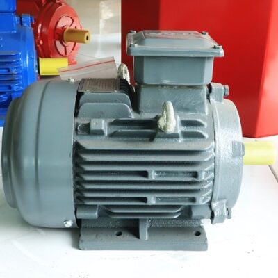 Động cơ 0.06kw 1 pha ELEKTRIM