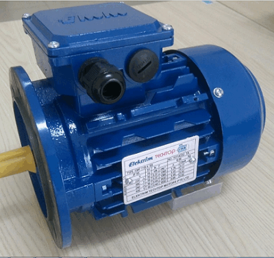 Động cơ 0.25kw 1 pha ELEKTRIM